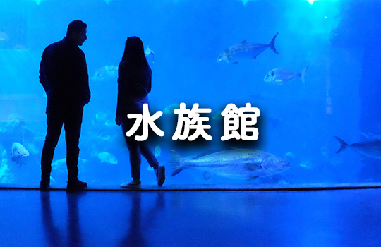 水族館
